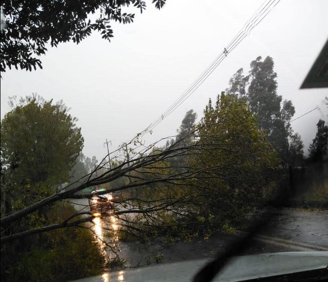 Los Ríos: Sistema Frontal De Precipitaciones Y Viento, Ha Causado Incidentes Menores