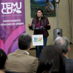 Temuco cuenta con nuevo programa de prevención contra la violencia de género