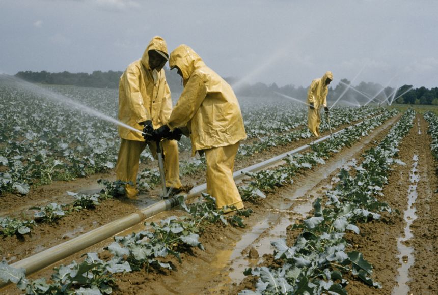 Se establece la primera Junta Regional de AgroSeguros Agropecuarios en La Araucanía