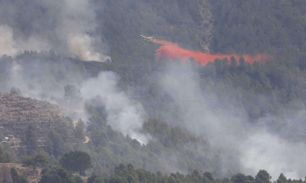 Valdivia: Con arraigo nacional y firma semanal quedaron dos adultos imputados por incendio forestal