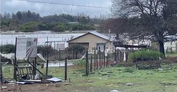 Presidente de la AMRA Gastón Mella solicita declarar a La Araucanía Zona de Catástrofe