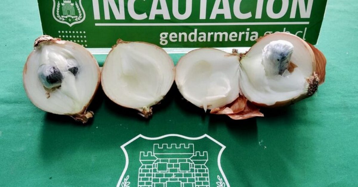 Intento de ingreso de droga en cebollas es frustrado en la cárcel de Temuco
