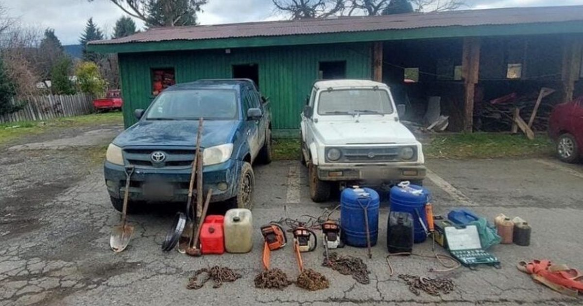 Detenidos en Cunco por tala ilegal: Incautan herramientas y vehículos