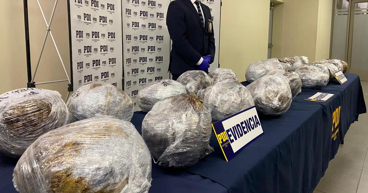 PDI desarticula estructura criminal dedicada al tráfico de cannabis en Temuco: trasladaban 22 kilos