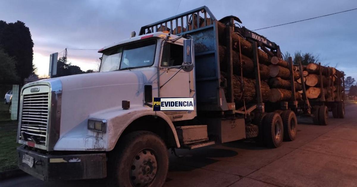 PDI incautó un camión cargado con madera sustraída desde la comuna de Pitrufquén