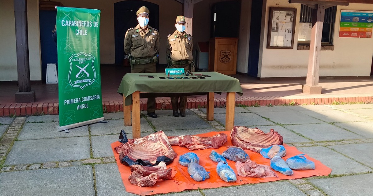 Dos detenidos por abigeato y porte ilegal de armas de fuego en Purén