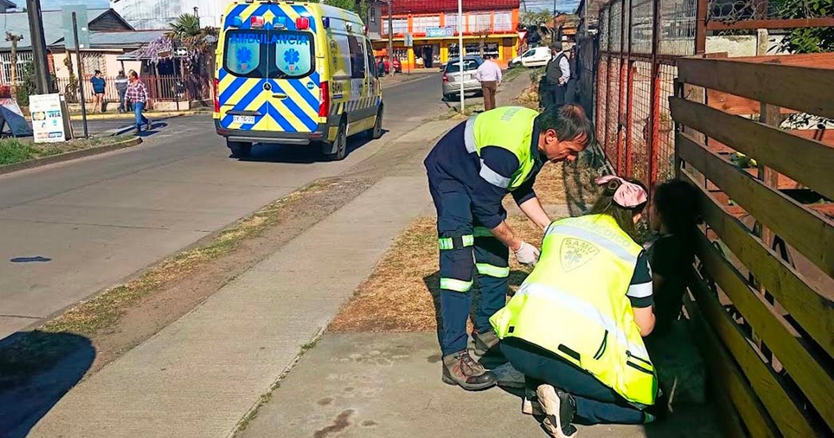 Brutal riña dejó a mujer herida y a otra detenida en Angol