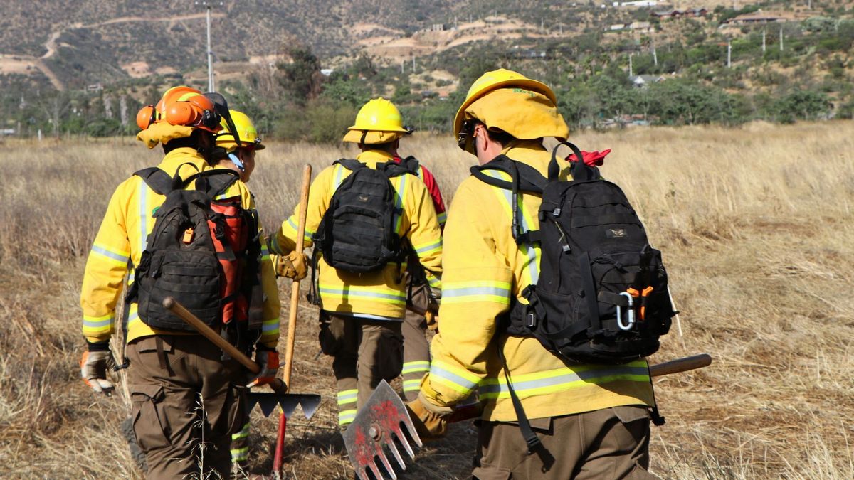 Tragedia en incendio forestal de Los Sauces: revelan identidad de los tres brigadistas que murieron en combate