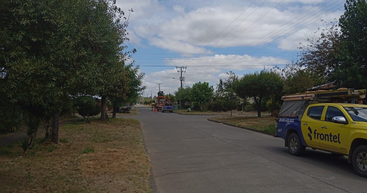 Frontel realizó mantenimiento en la red eléctrica de Los Laureles en la comuna de Cunco