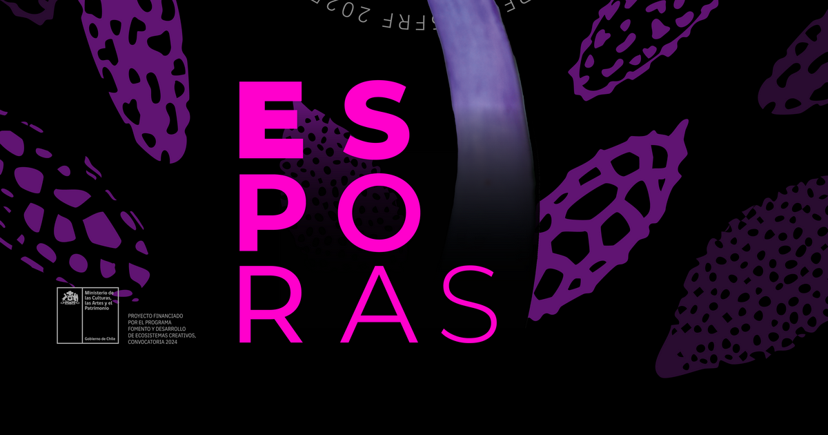 Del 2 al 4 de mayo, Festival Reino Fungi 2025 activa Pucón – Noticias  Araucania