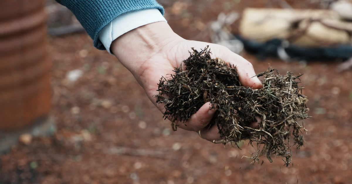 Nace el primer biofertilizante comunitario hecho con biomasa forestal