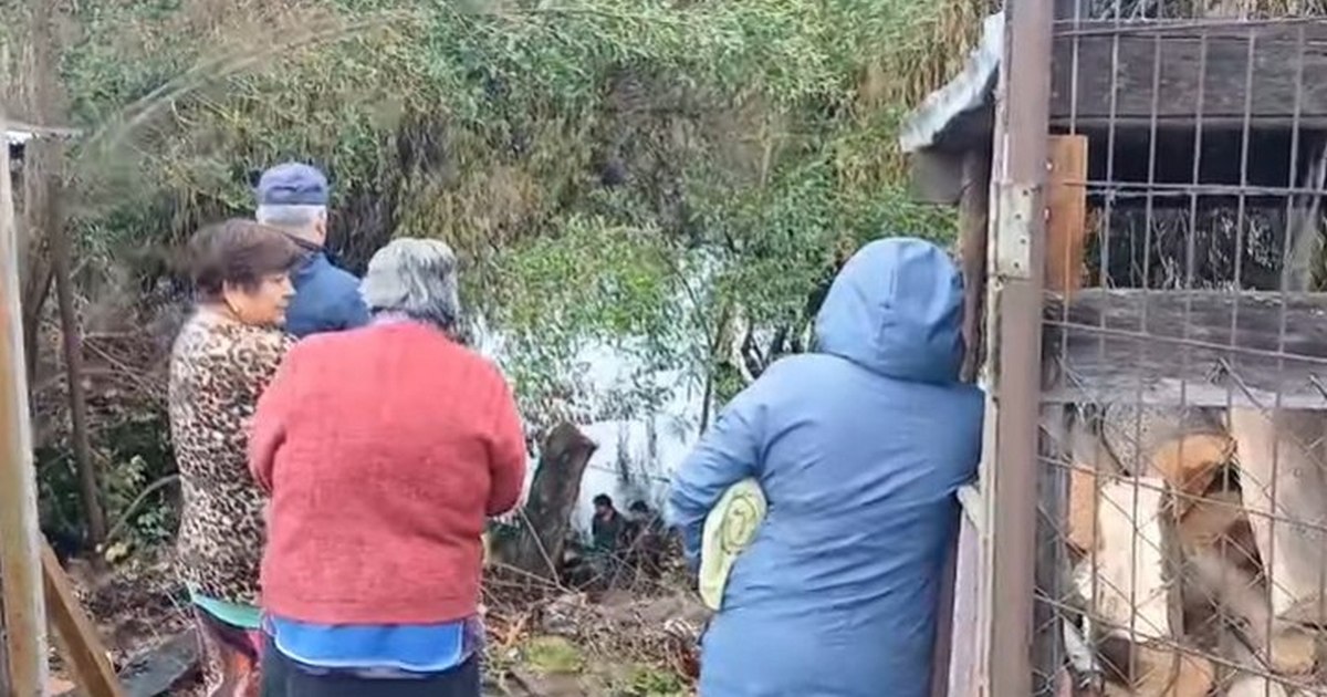 Hombre fallece tras caer al río Cholchol desde el Puente Padre Hurtado en Nueva Imperial