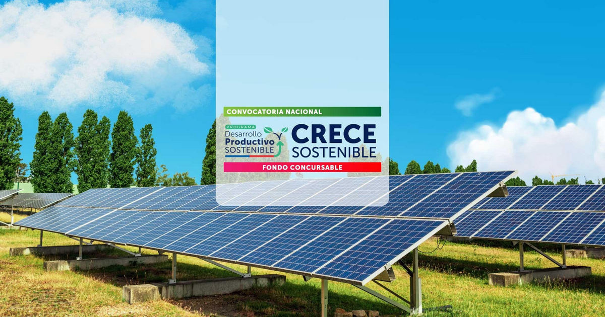 Nuevo fondo de Sercotec beneficiará con hasta 9 millones a empresas y cooperativas que incorporen prácticas sostenibles