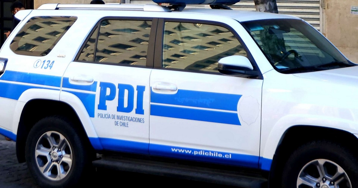 PDI Victoria recupera ejemplar equino avaluado en 10 millones de pesos