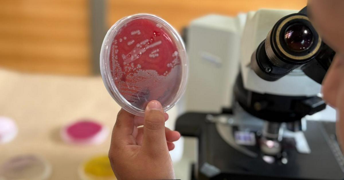 Hospital Dr. Hernán Henríquez Aravena refuerza el llamado al uso responsable de antibióticos