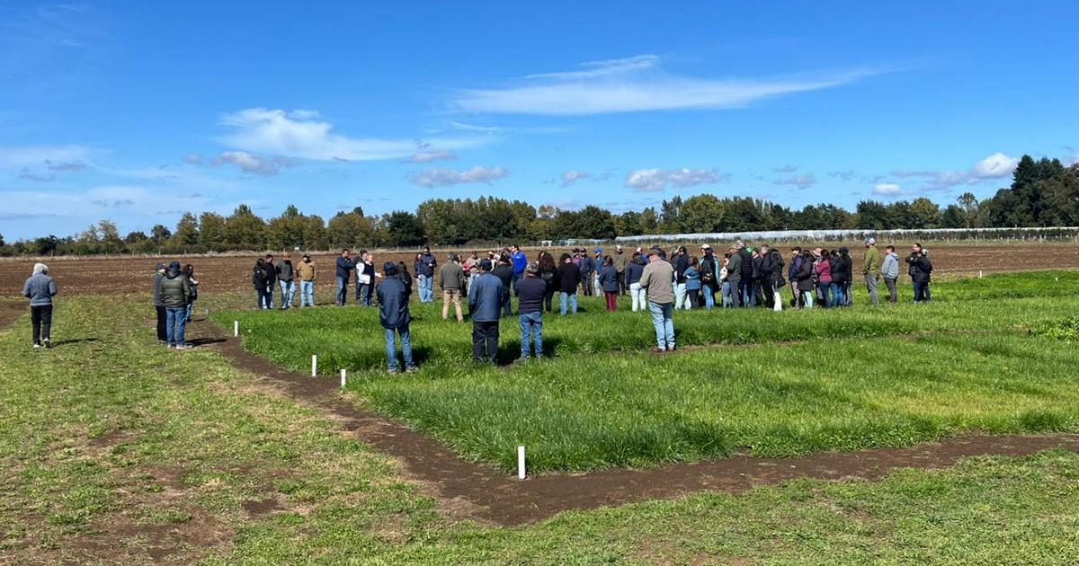 Proyecto permitirá reducir dependencia de fertilizantes nitrogenados
