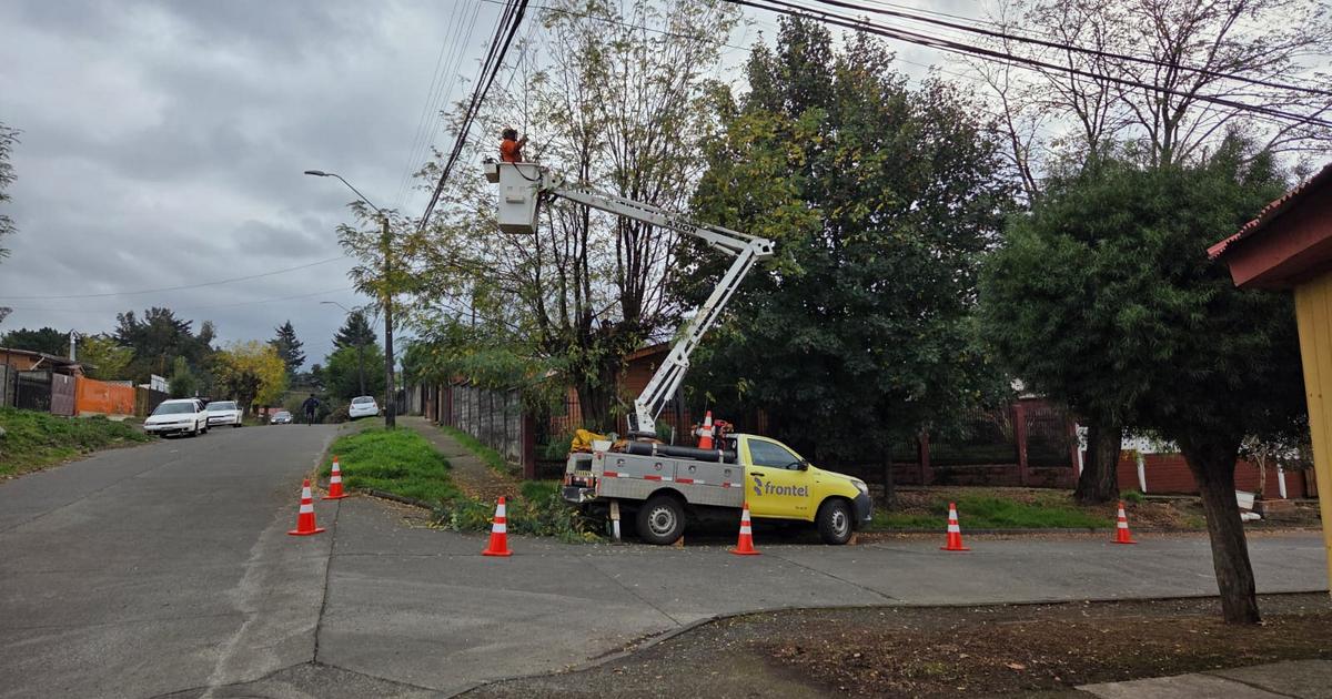 Frontel realiza podas urbanas que contribuyen a la continuidad del servicio eléctrico en Victoria