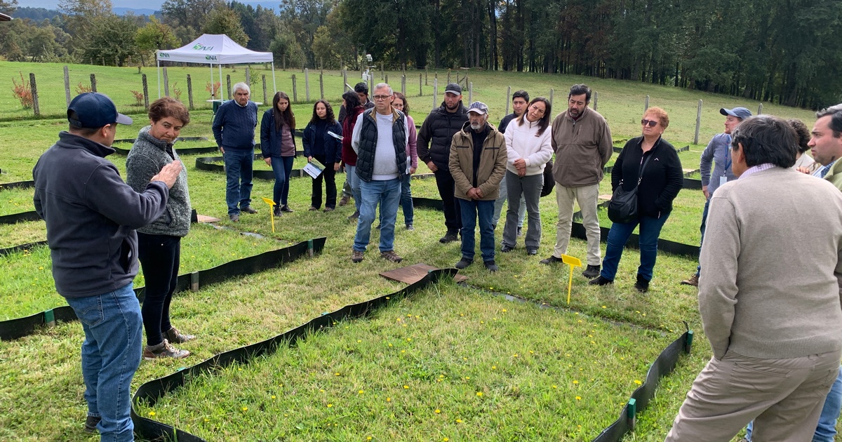 Especialistas abordan manejo sustentable del fósforo en taller realizado en la cuenca del Lago Villarrica