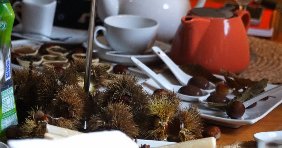 Pucón invita a una sabrosa muestra de la castaña que “se postula” como festival