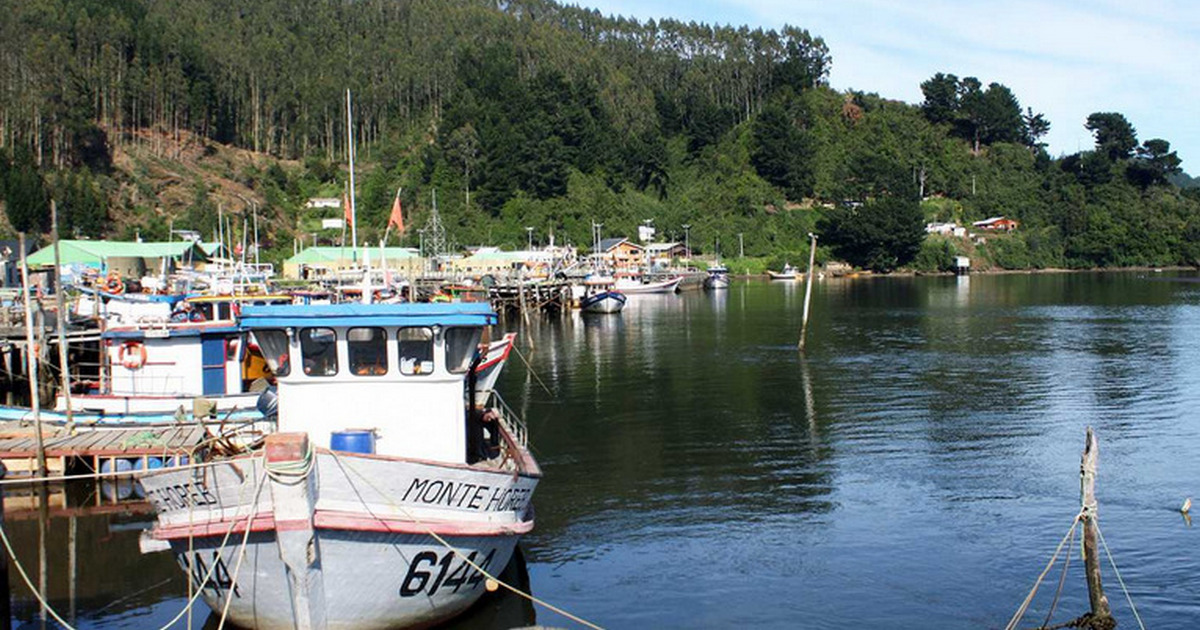 Gobierno implementa cupón de combustible para apoyar a la pesca artesanal