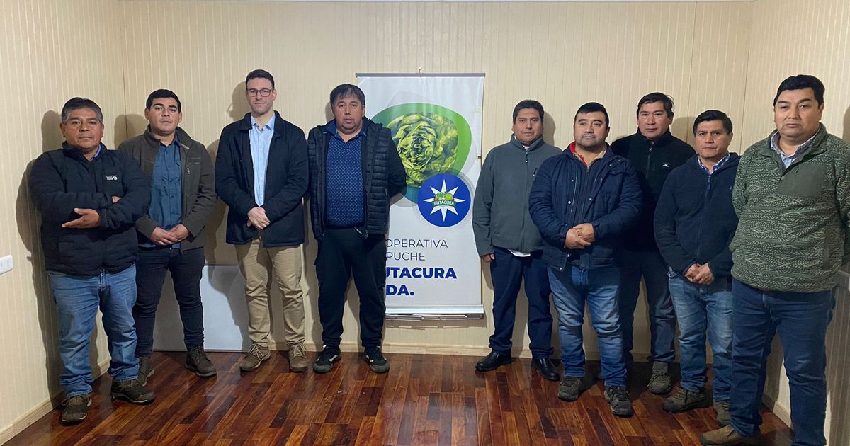 Sercotec abre fondo para impulsar el desarrollo de las cooperativas