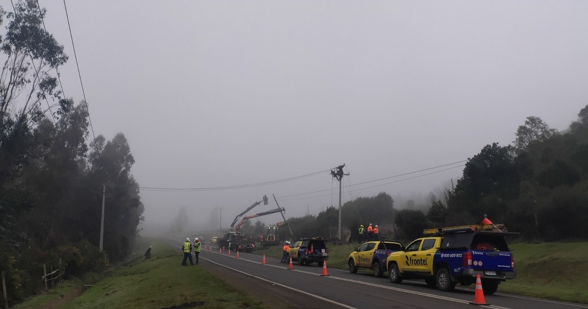 Frontel ejecutó trabajos en la red eléctrica de la comuna de Cholchol
