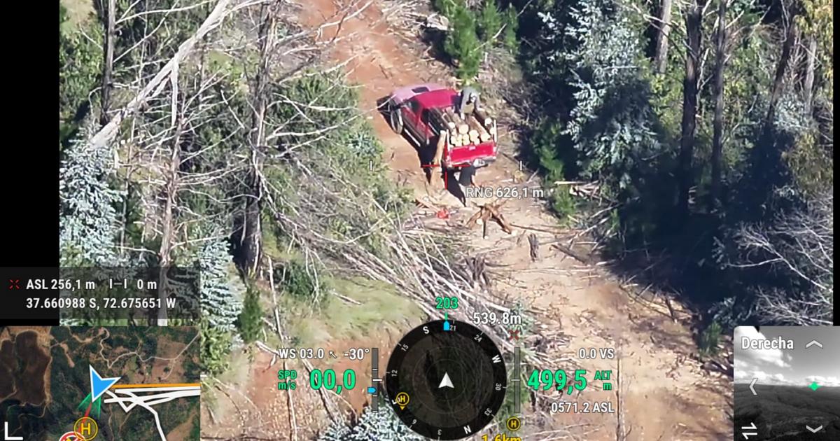 PDI Angol detiene a tres personas por sustracción de madera en Renaico